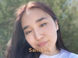 SaniLink