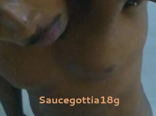 Saucegottia18g
