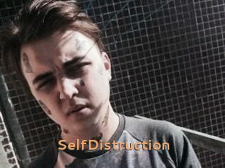 SelfDistruction