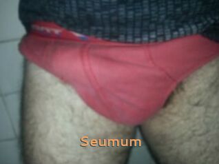 Seumum Du Cul A Gogo