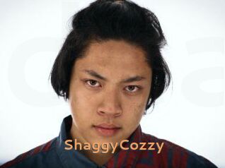 ShaggyCozzy