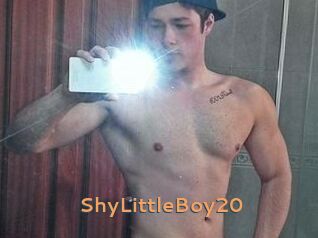ShyLittleBoy20