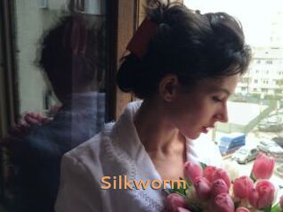 Silkworm