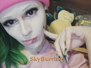 SkyBurrito