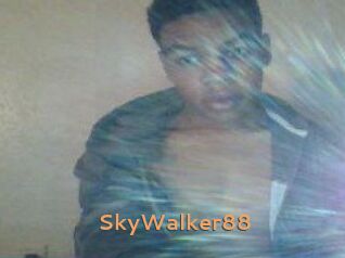 SkyWalker88