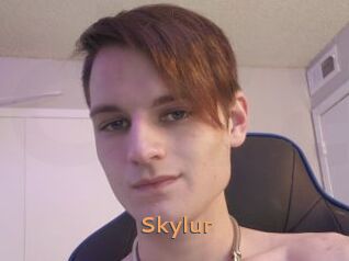 Skylur