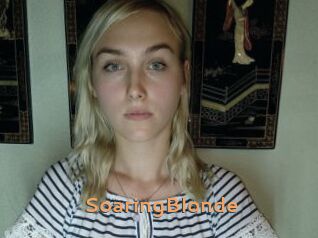 SoaringBlonde