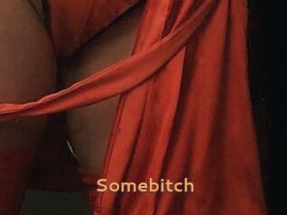 Somebitch