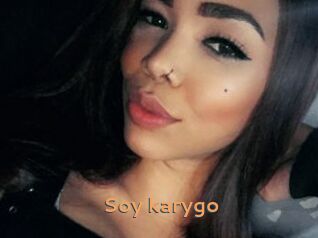 Soy_karygo