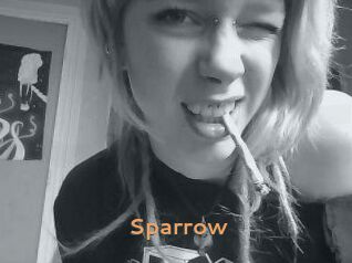 Sparrow