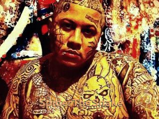 SpiderTheSnake
