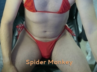 Spider_Monkey