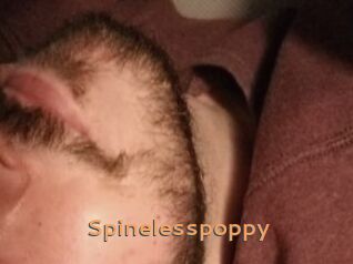 Spinelesspoppy