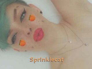 Sprinklecat