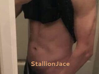 StallionJace