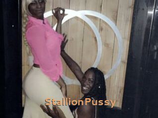 StallionPussy