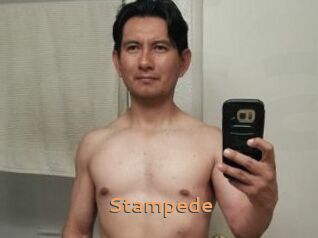 Stampede