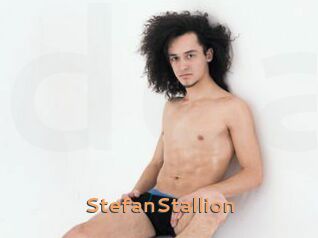 StefanStallion