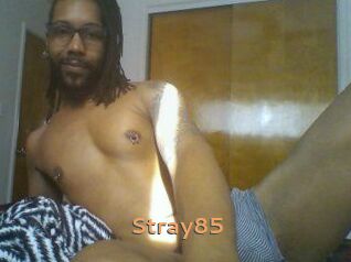 Stray85