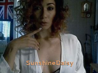SunshineDaisy