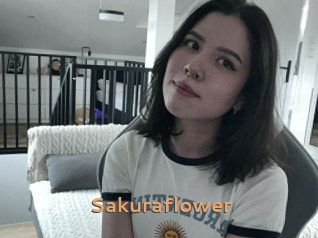 Sakuraflower