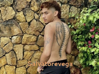 Salvatorevega