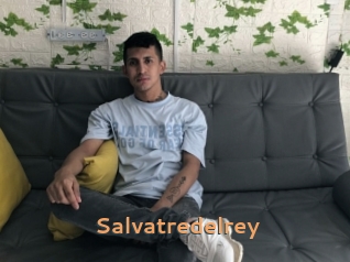 Salvatredelrey
