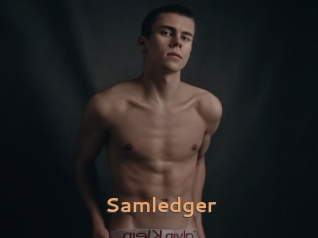 Samledger
