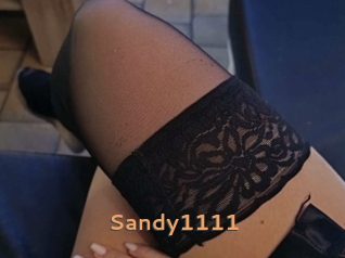 Sandy1111