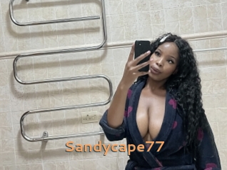 Sandycape77