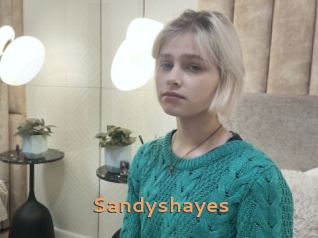 Sandyshayes