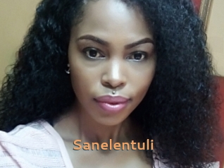 Sanelentuli