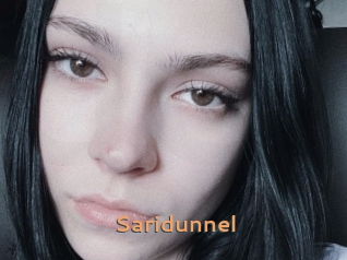 Saridunnel