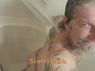 Scottyshark