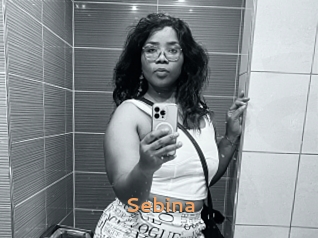 Sebina