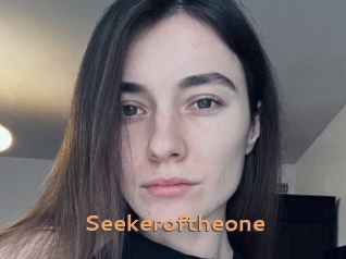 Seekeroftheone