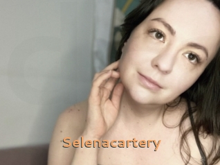 Selenacartery