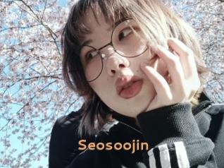 Seosoojin