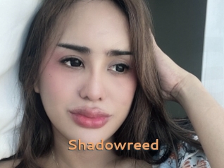 Shadowreed