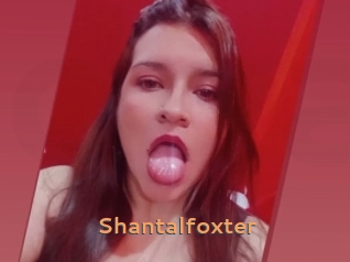 Shantalfoxter