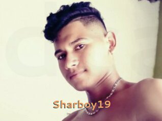 Sharboy19