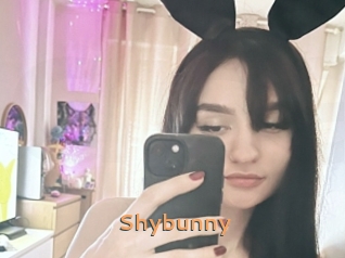 Shybunny