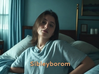 Sibleyborom