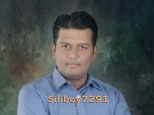 Siliboy7291