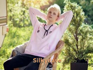 Silkydave