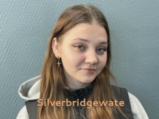 Silverbridgewate