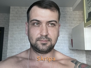 Skripa