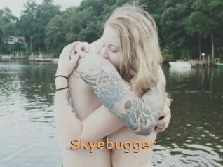 Skyebugger