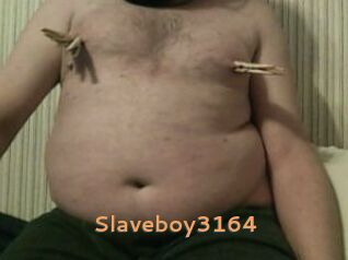 Slaveboy3164