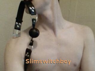 Slimswitchboy